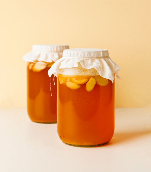 Boissons fermentées